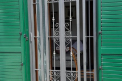 Vista esterna inferriata con snodo