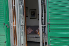 Grata apribile a due ante con snodo